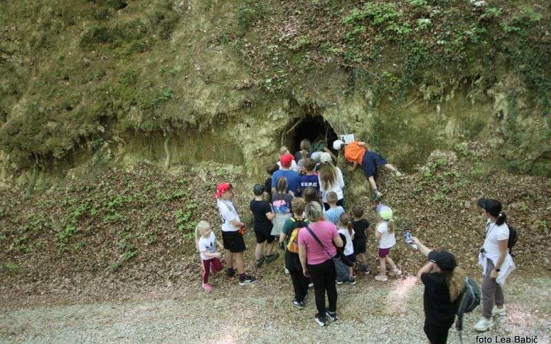 pespot-k-repnicam-2026, bizeljsko