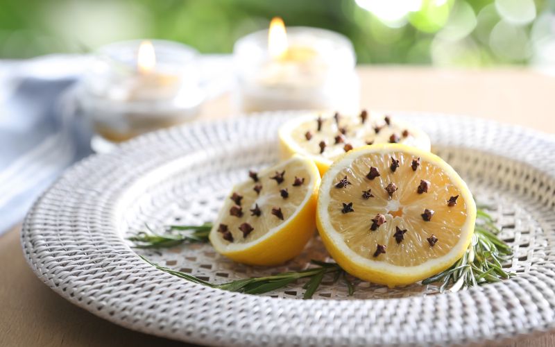 citrusi, limona, komarnik