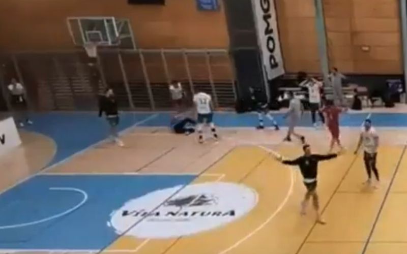 panvita krka sodnik.png