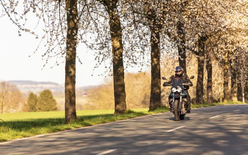 motoristična sezona, zavarovalnica triglav