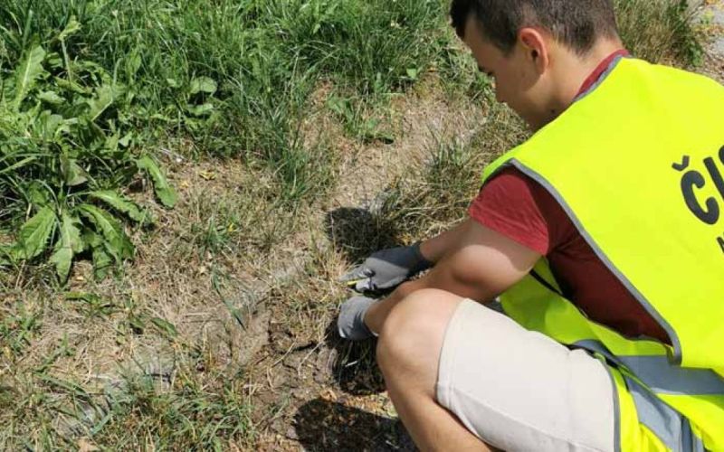 čiščenje velenje.jpeg