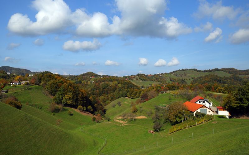cg_predkupna_pravica_1.jpg