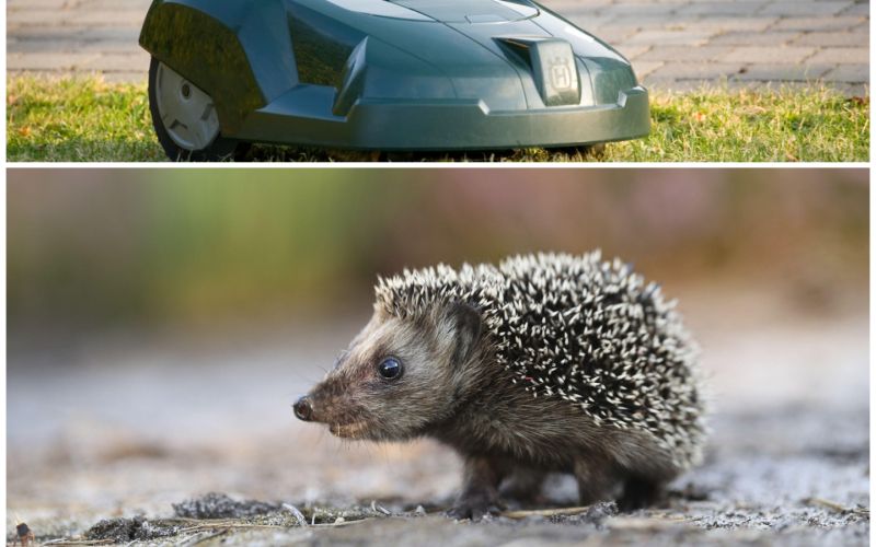 photo-collage.png (21).png