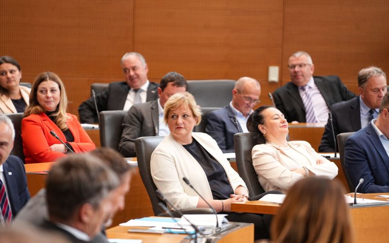 poslanci sds, jelka godec.jpg