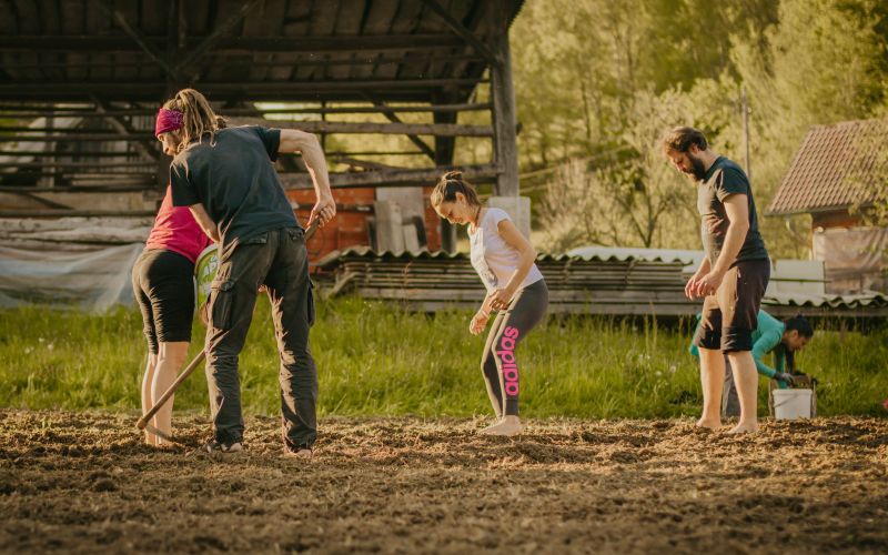 jernej-tramte, delovna-akcija, sentjur