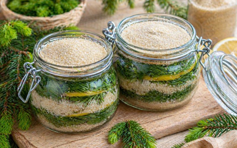 smrekovi-vrsicki, smrekov-sirup