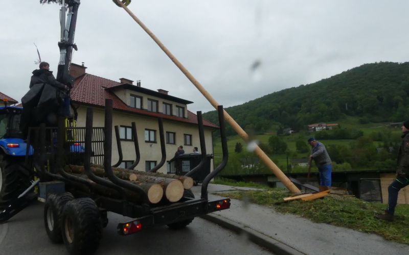 prvomajski-mlaj, senovo