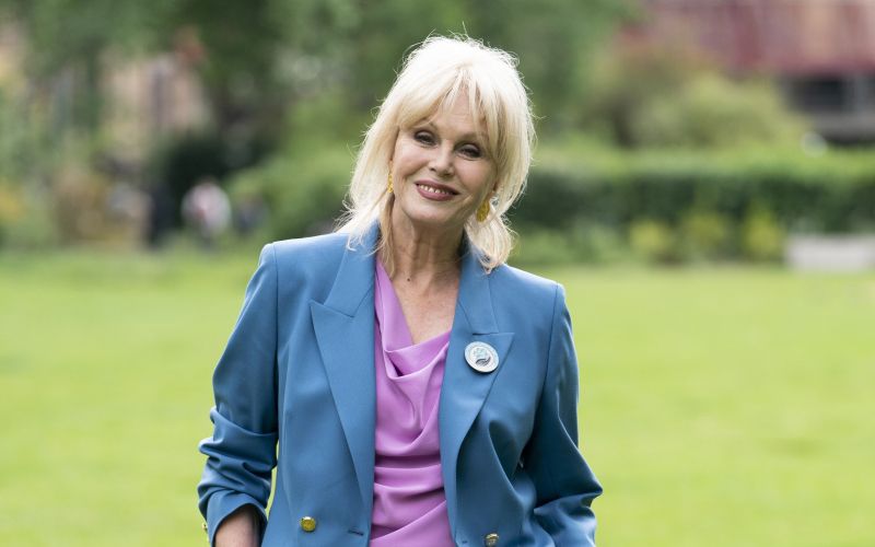 joanna lumley 1.jpg