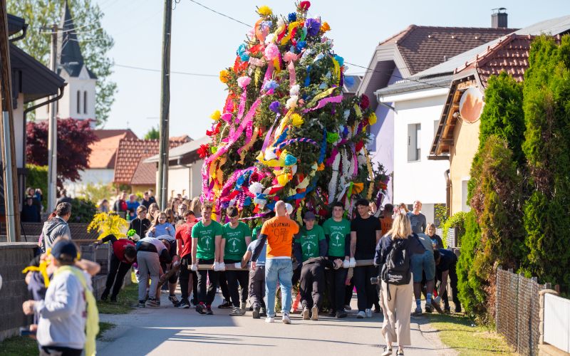 gancki-majos, 107-gancki-majos, gancani, tradicija, mlaj
