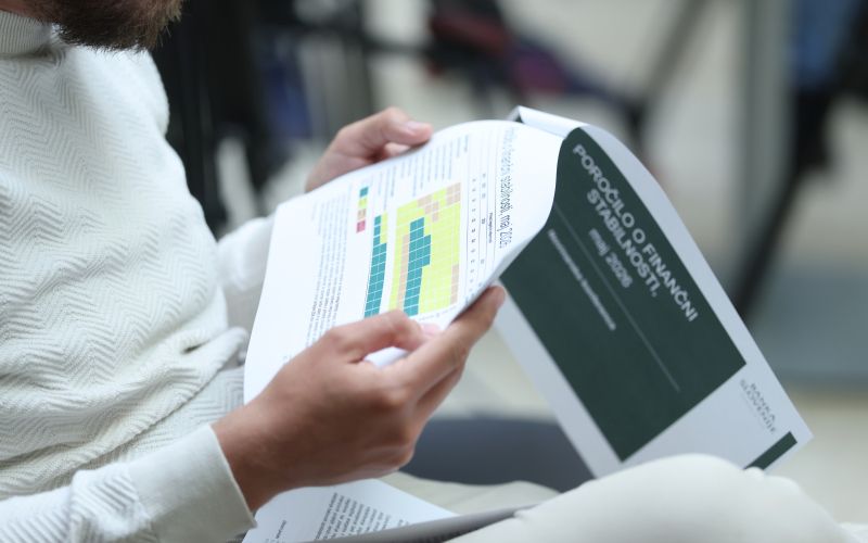 banka slovenije, poročilo o finančni stabilnosti