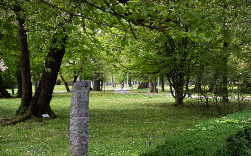 simbolična, park, narava, grad, raca, račke, račka