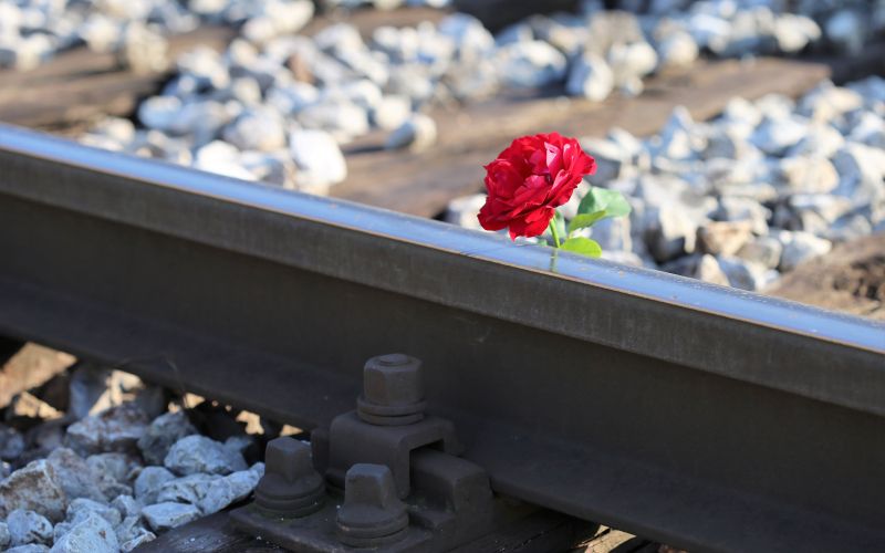 goranh-red-rose-on-rail-track-2781118.jpg