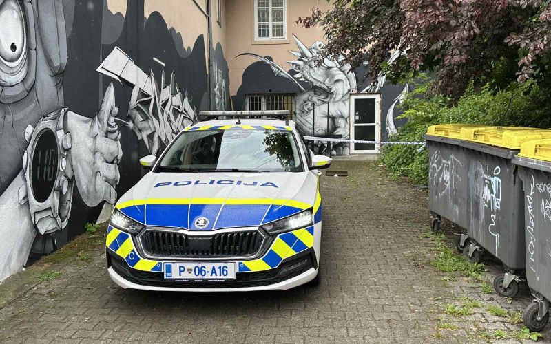 celovska-cesta, siska, napad, policija