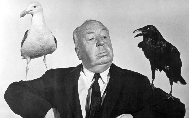 Alfred Hitchcock na promocijski fotografiji za film Ptiči (The Birds, 1963). Mojster suspenza je bil