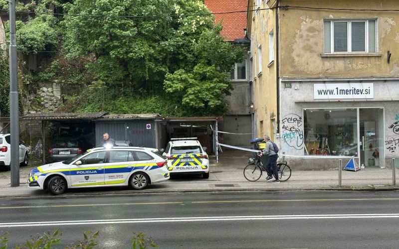 celovska-cesta, siska, napad, policija
