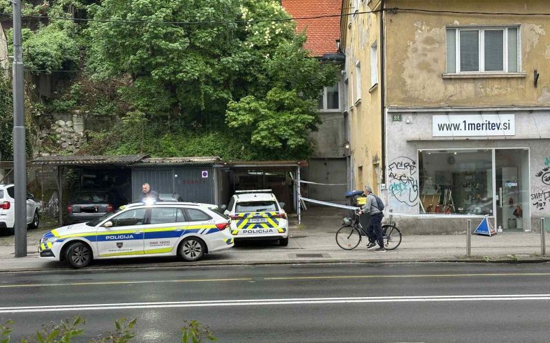 celovska-cesta, siska, napad, policija