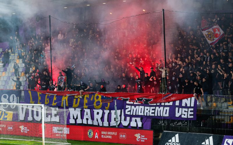 viole maribor.jpg