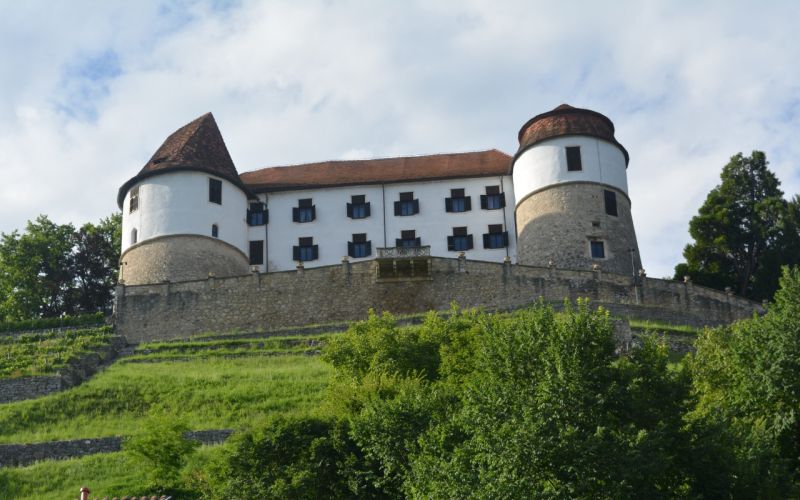 grad_sevnica.JPG
