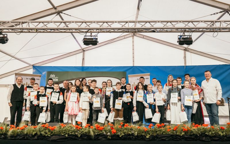 Harmonikarji Šaleška harmonika 2025.jpg