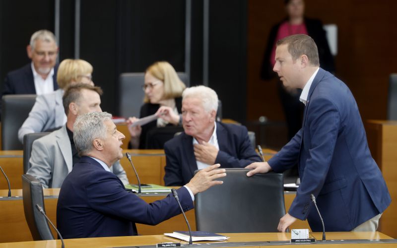 drzavni zbor mahnic .JPG