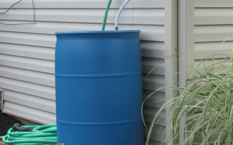 RainBarrel.jpg