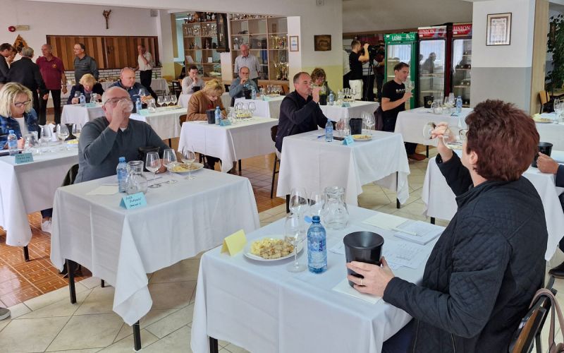 ocenjevanje-vin-vinis.jpg