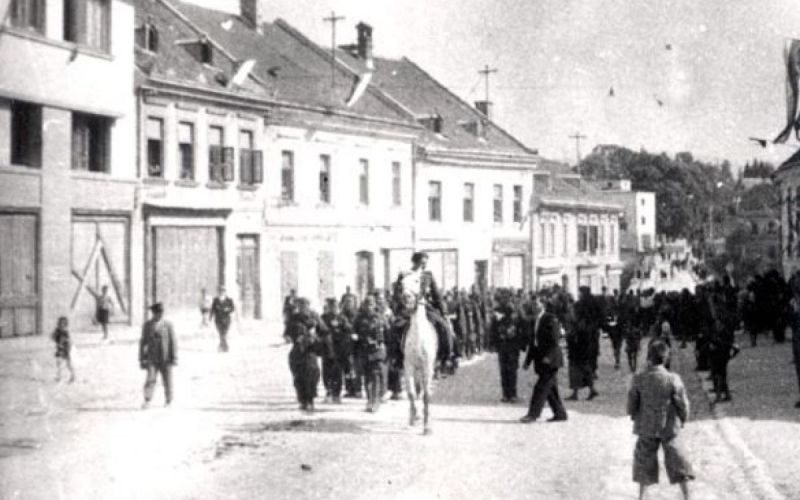 svoboda nm.jpeg