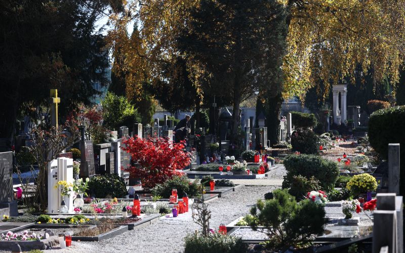 ljubljanske žale