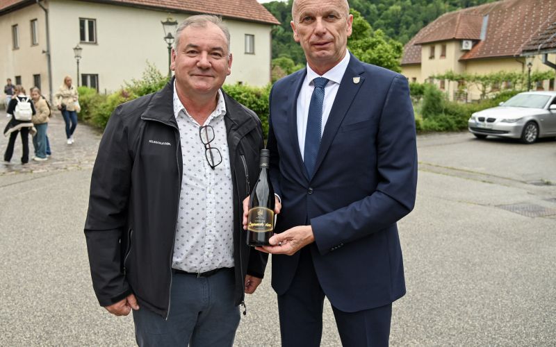 zupanovo-vino, modra-frankinja