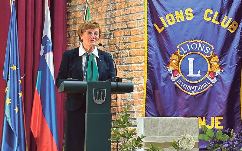 Avberšek-Lions.jpg