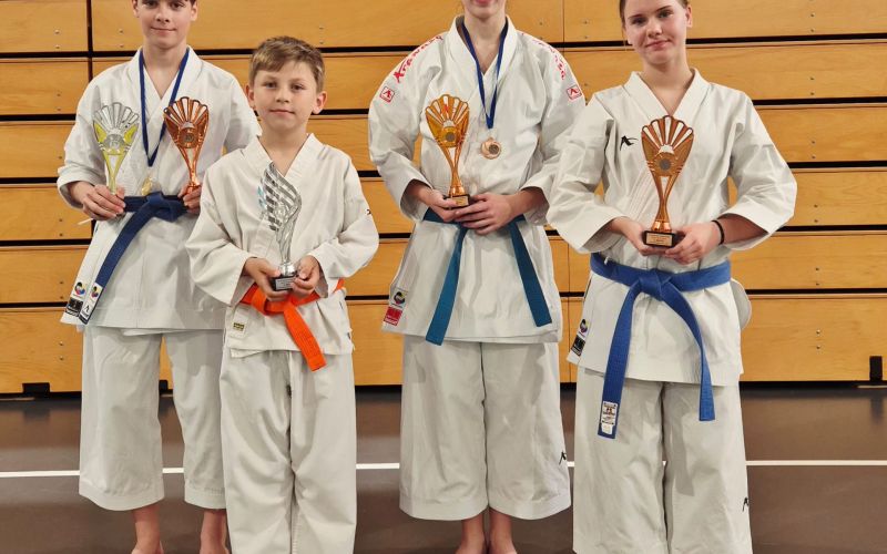 karate_sščet.jpg