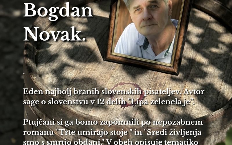 slika.jpeg