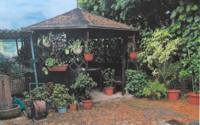 vaš-žulj, meja, smreka
