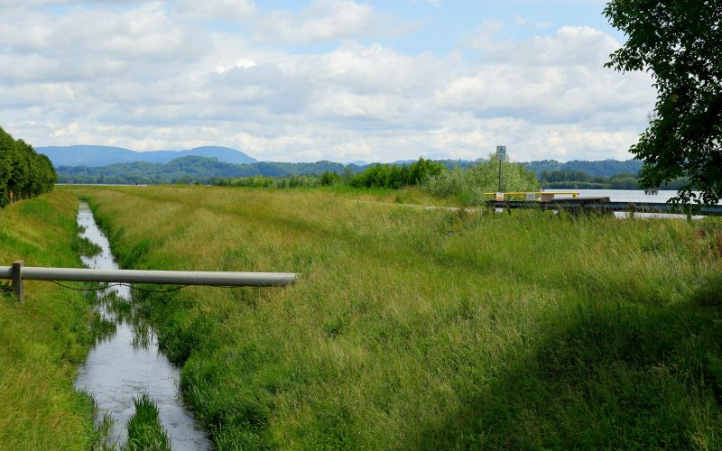 cg_kosnja_ptujsko_jezero_1.jpg