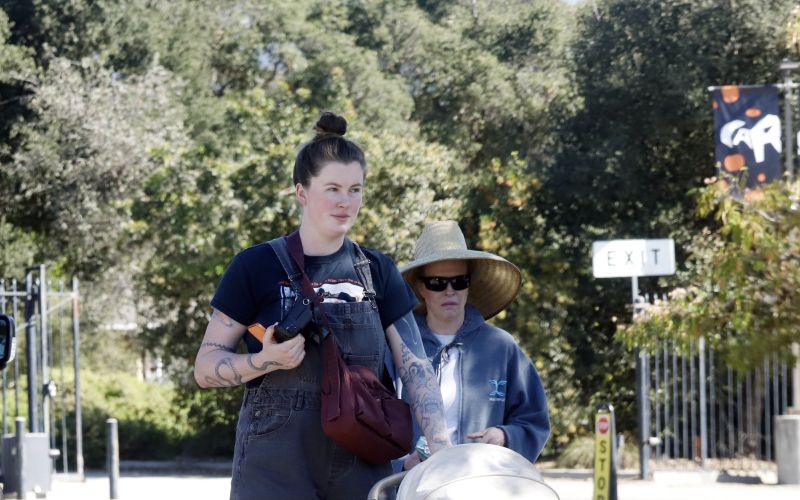ireland baldwin 3.jpg