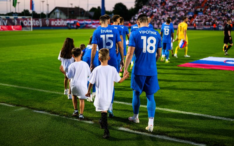 zan vipotnik sp.jpg