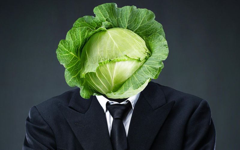 idiokracija naslovna nova.jpg