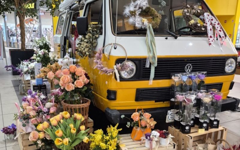 Naokoli potuje s prepoznavnim starodobnikom Volkswagen T3