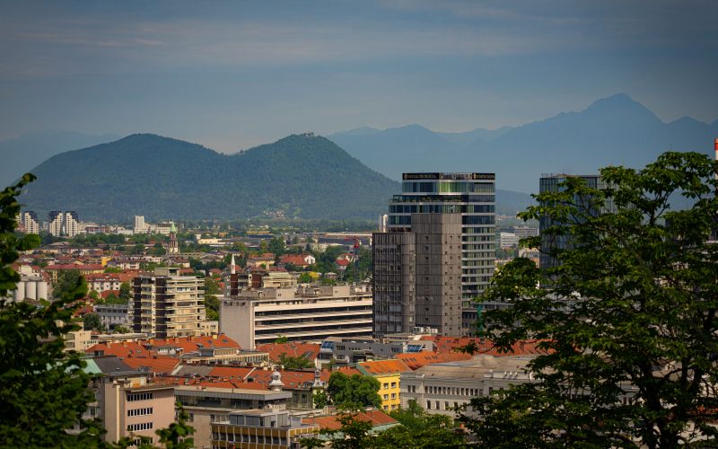 1781191913-trznica38-1781191887584.jpg