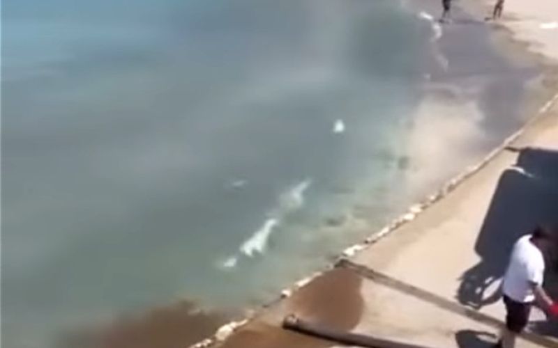 korcula fekalije.jpg