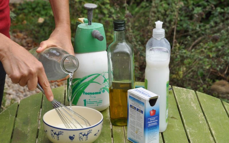 Domače škropivo iz sode bikarbone