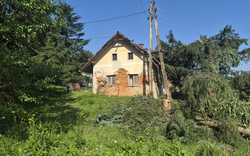 Kmetija Koračice.jpg