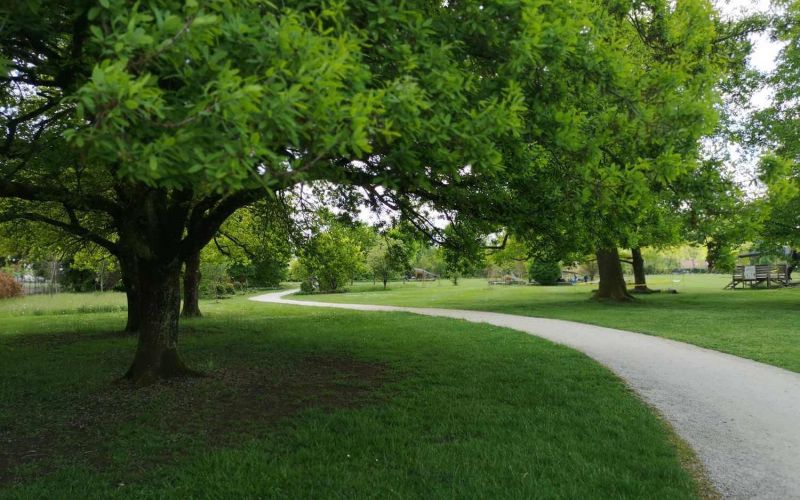park.jpg