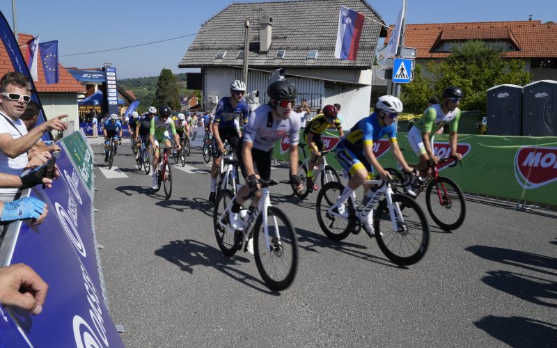 gabrje