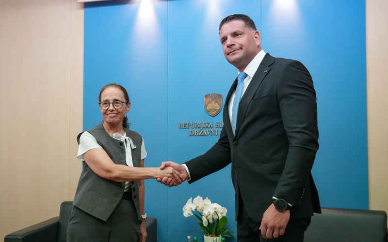 Ruth Cohen Dar Zoran Stevanović.jpg