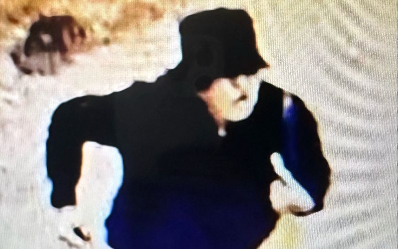 suspect.jpg