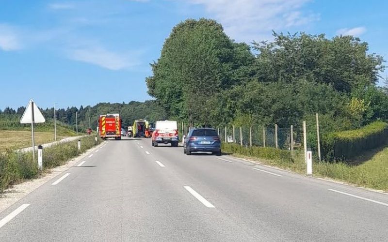 petelinjek.jpg