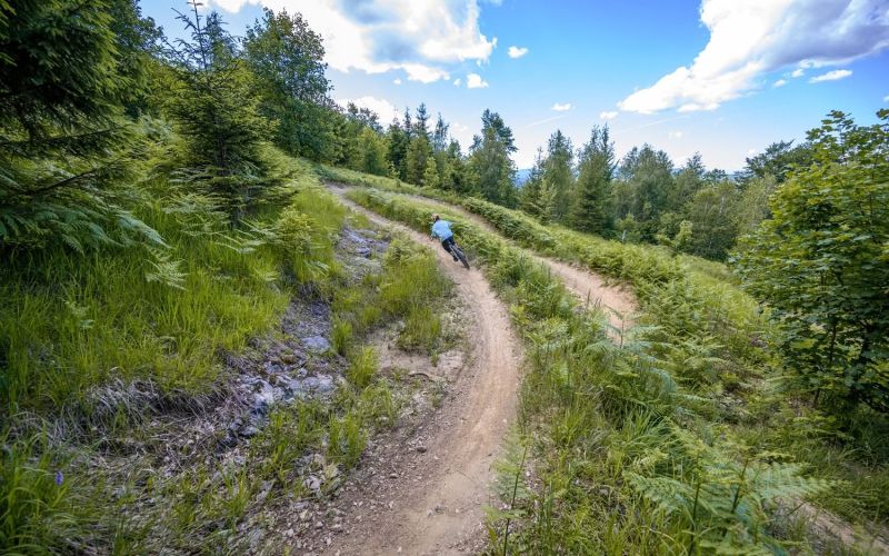 trail-center