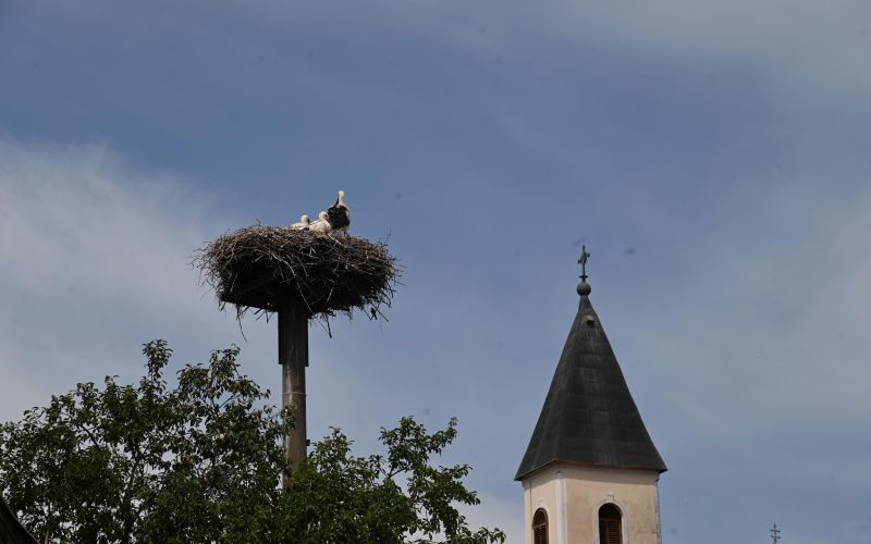 kuzma, obcina-kuzma