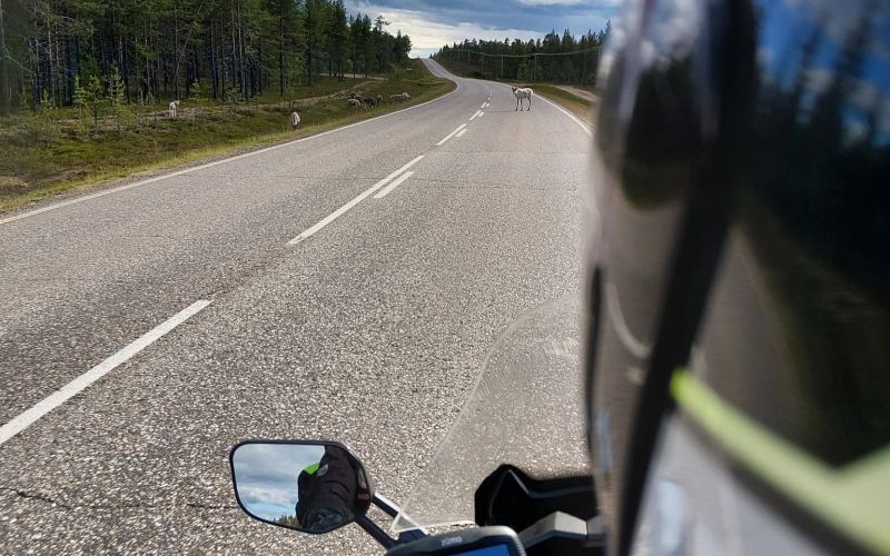 stanko-stotl, nordkapp, norveska